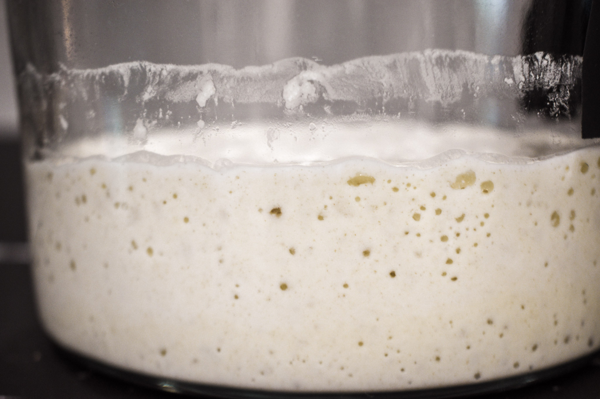 Sourdough starter not rising in jar