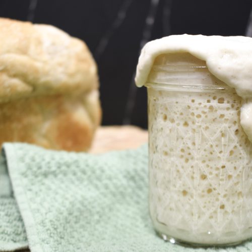 Sourdough starter with bread