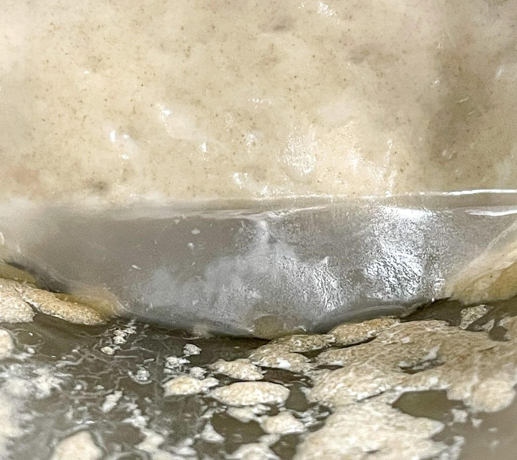 sourdough hooch